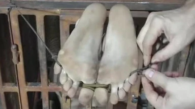 Video thumbnails for '2006-10-13 CAGED CUMSLUT featuring Melody (part 2)' depicting insex, bondage, restraints, feet caned, feet brushed